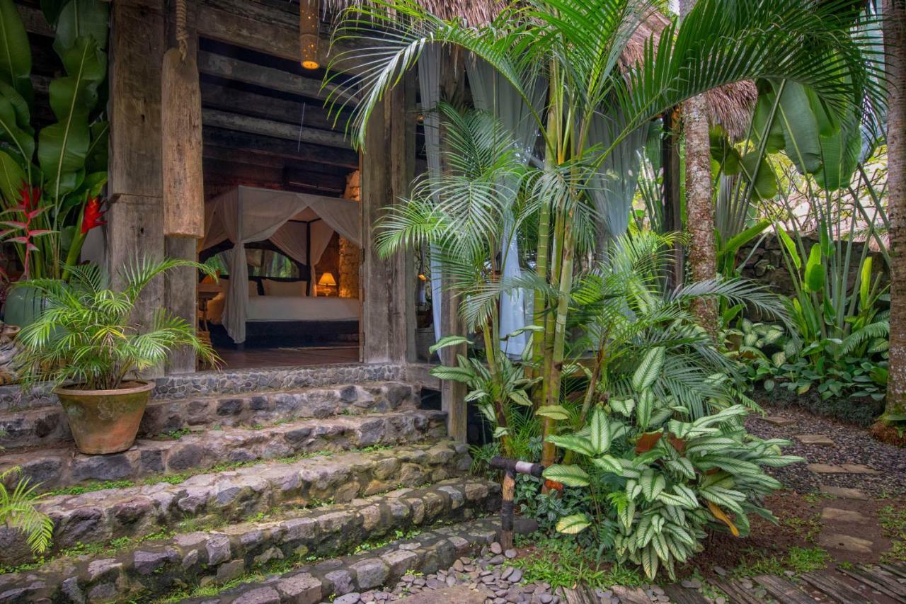 गेस्ट हाउस Stone House Ubud (Bali)